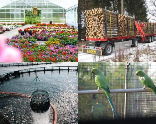 consulta i documenti